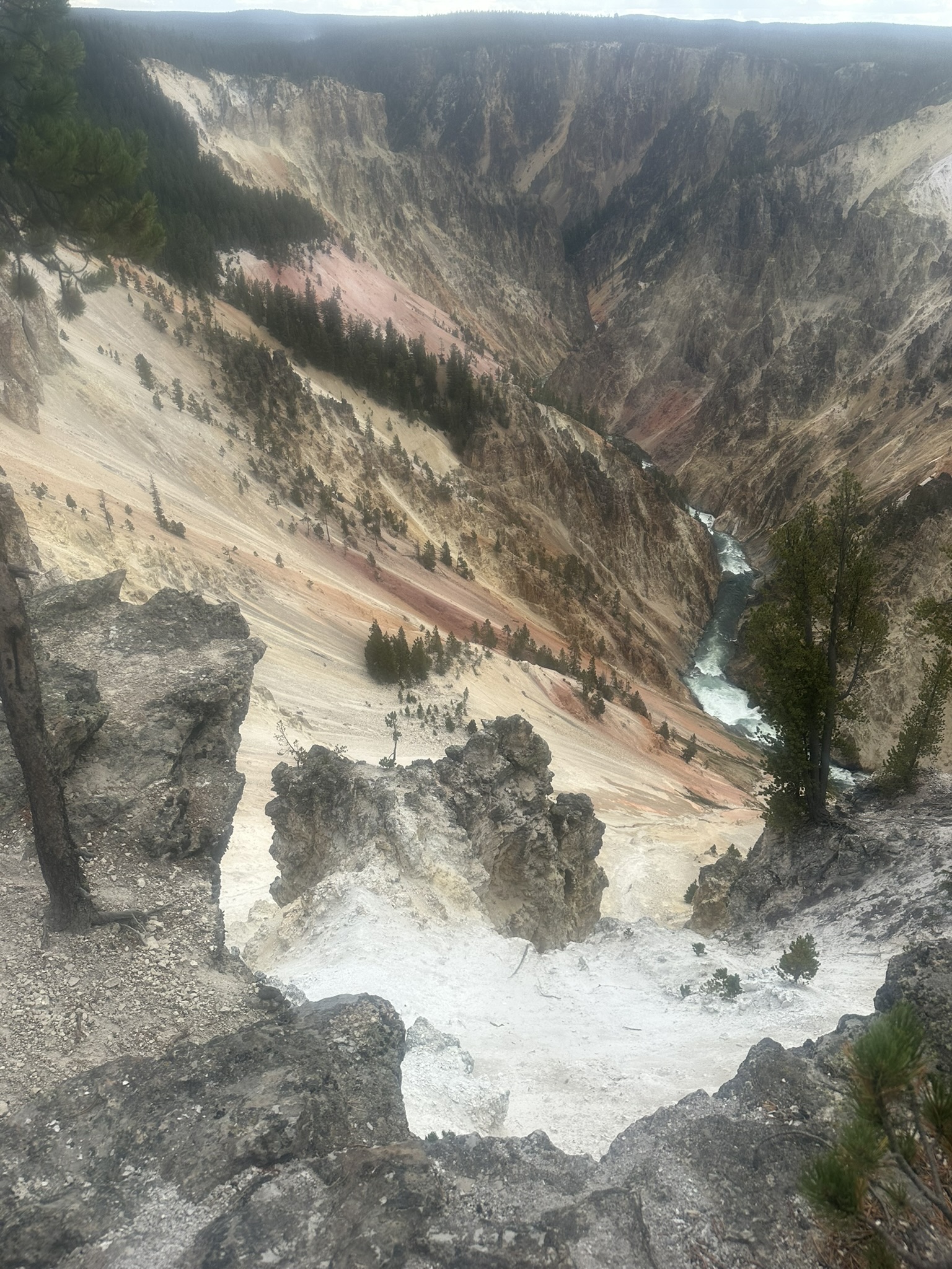 Yellowstone And Grand Teton National Parks - Image 642